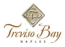 Treviso Bay Naples Club Properties
